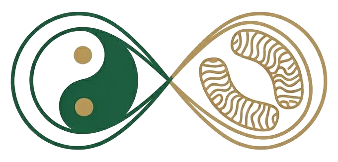 Logo: Yin-Yang und Mitochondrium, verbunden durch eine Unendlichkeitsschleife